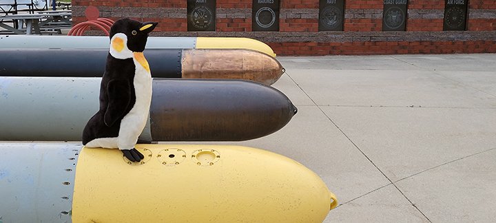 King on a torpedo
